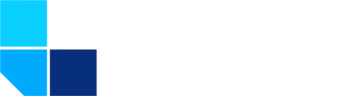 Project Management Consultant